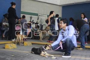 JORNADA DE ESTERILIZACIÓN