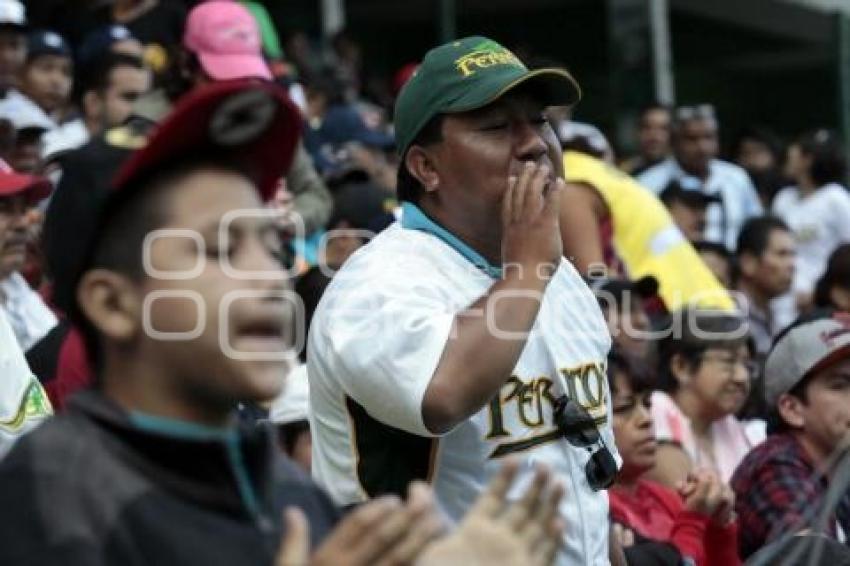 PERICOS VS TIGRES. SERIE FINAL SUR