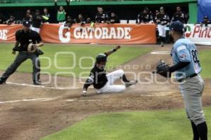 PERICOS VS TIGRES. SERIE FINAL SUR