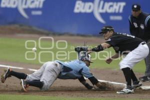 BEISBOL . PLAYOFFS . PERICOS VS TIGRES