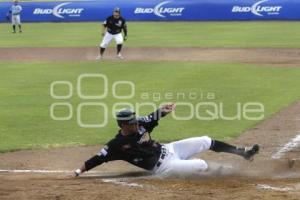 PERICOS VS TIGRES. SERIE FINAL SUR