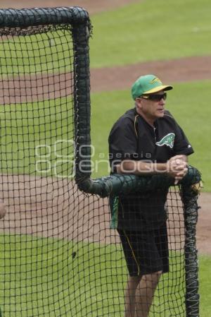 SERIE DEL REY . PERICOS VS DIABLOS