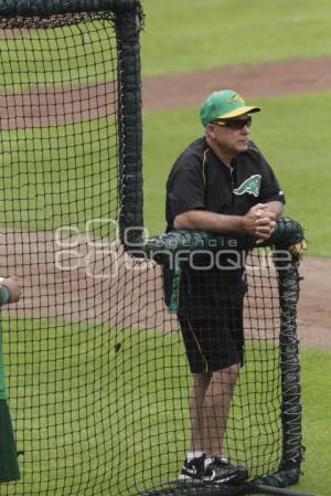 SERIE DEL REY . PERICOS VS DIABLOS