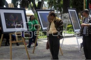 EXPOSICIÓN EFÍMERA 2014