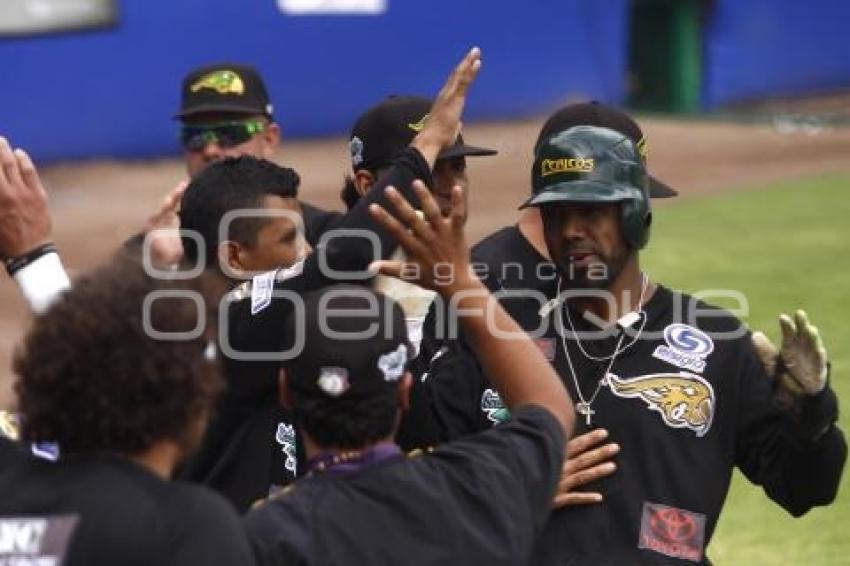 SERIE DEL REY . PERICOS VS DIABLOS