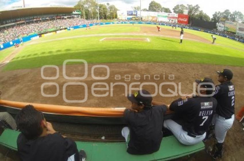 SERIE DEL REY . PERICOS VS DIABLOS