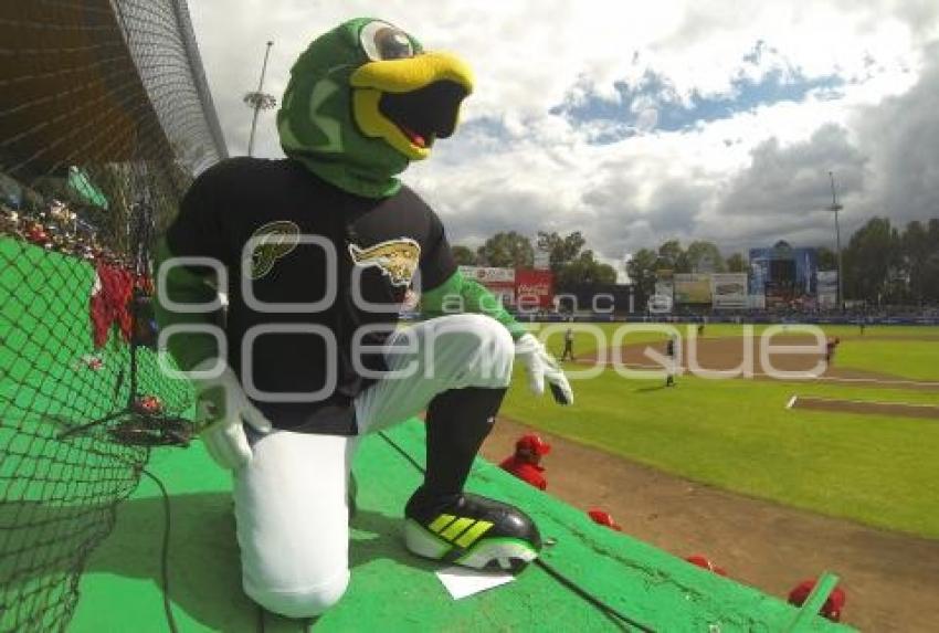 SERIE DEL REY . PERICOS VS DIABLOS