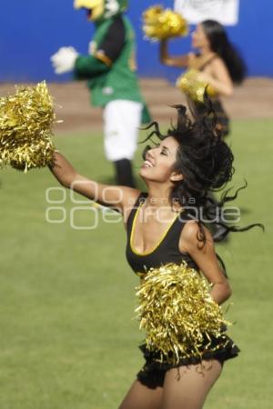 SERIE DEL REY . PERICOS VS DIABLOS