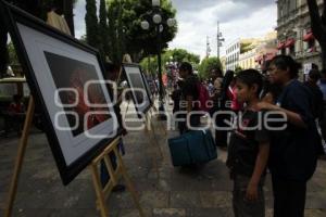 EXPOSICIÓN EFÍMERA 2014