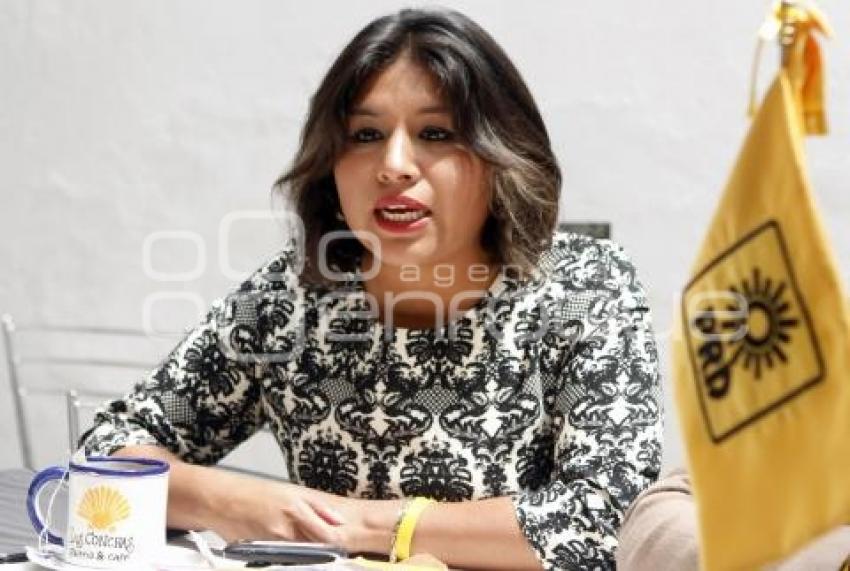 ROXANA LUNA DIPUTADA FEDERAL PRD