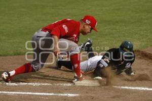 SERIE DEL REY . PERICOS VS DIABLOS