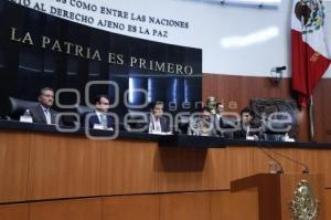 COMPARECENCIA EN EL SENADO