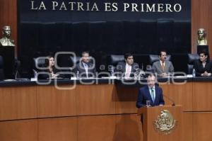 COMPARECENCIA EN EL SENADO