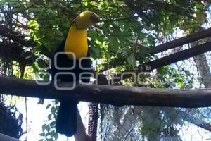 PARQUE ECOLÓGICO . AVIARIO