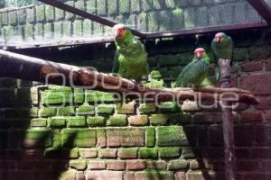 PARQUE ECOLÓGICO . AVIARIO