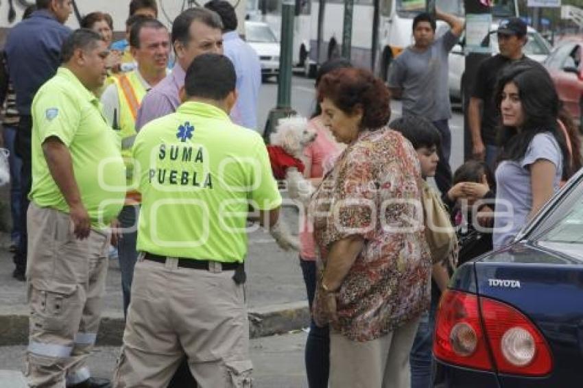 ACCIDENTE VIAL