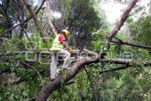 MANTENIMIENTO MANANTIAL . TEHUACÁN