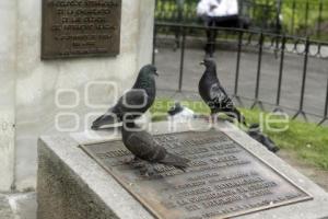 PLAGA DE PALOMAS