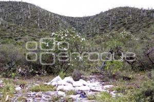 TIRADERO CLANDESTINO EN TEHUACÁN