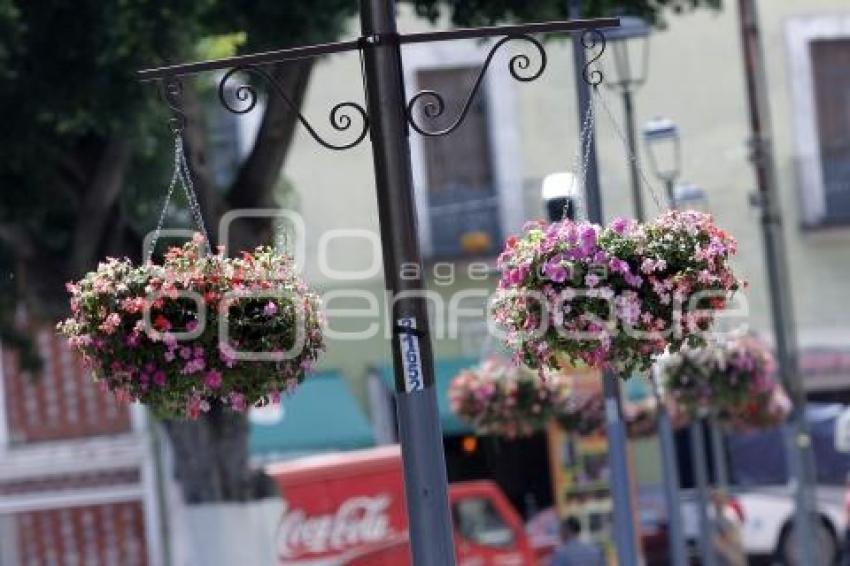 ADORNOS BARRIO DE LOS SAPOS