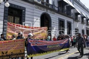 MANIFESTACIÓN SAN MARTÍN TEXMELUCAN