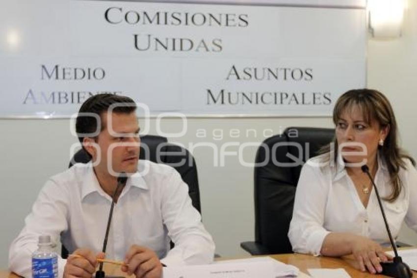 COMISIONES UNIDAS . CONGRESO