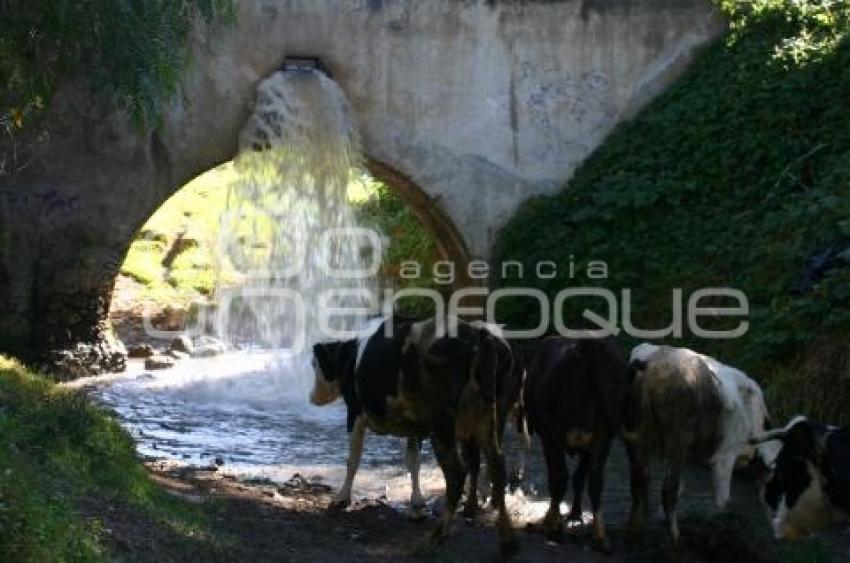 CANAL DE RIEGO . TEXMELUCAN