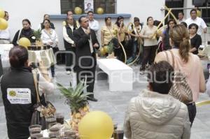 ELECCIÓN SINDICAL . SECRETARÍA DE SALUD