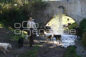 CANAL DE RIEGO . TEXMELUCAN