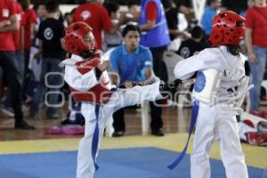 INSITITUTO ESPECIALIZADO TAE KWON DO