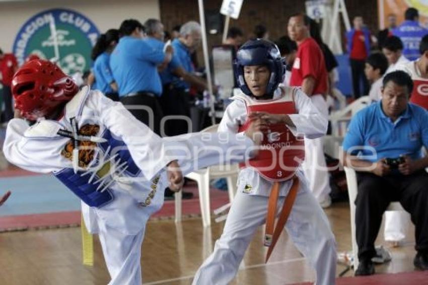 INSITITUTO ESPECIALIZADO TAE KWON DO