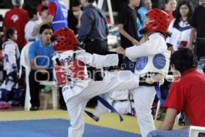 INSITITUTO ESPECIALIZADO TAE KWON DO