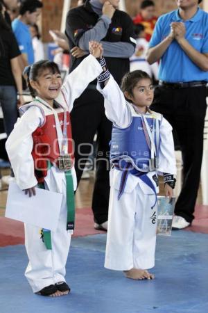 INSITITUTO ESPECIALIZADO TAE KWON DO