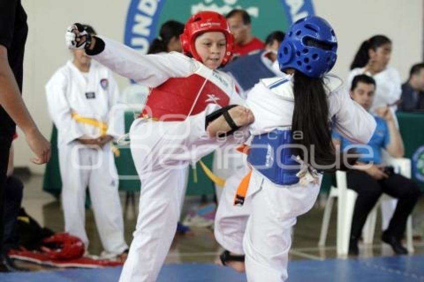 INSITITUTO ESPECIALIZADO TAE KWON DO