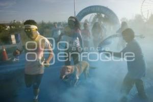 THE COLOR RUN