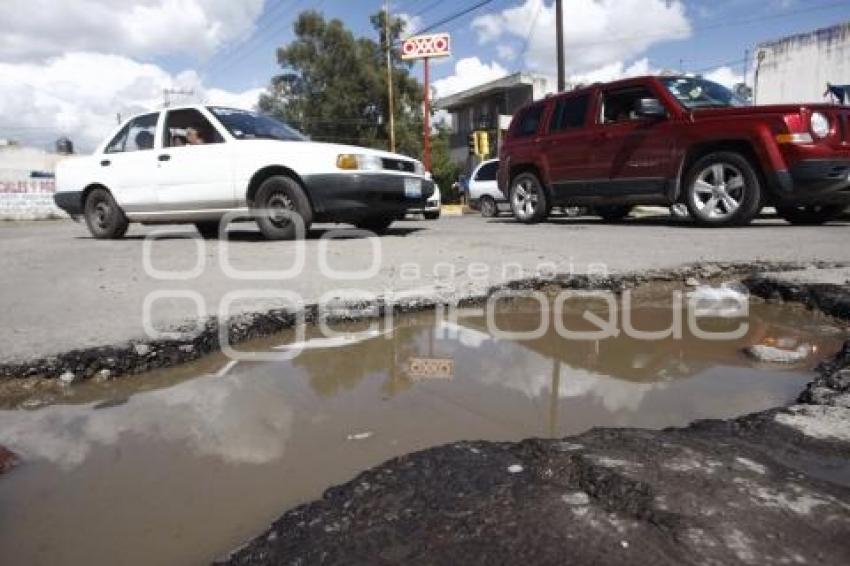 BACHES