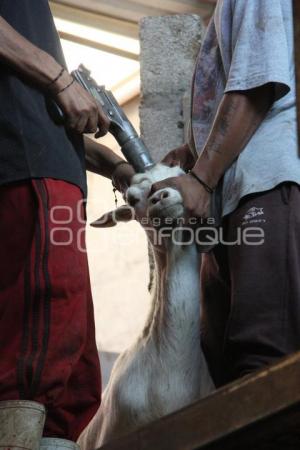 MATANZA . MOLE DE CADERAS