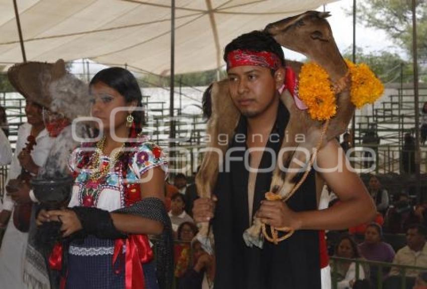 FESTIVAL DEL MOLE DE CADERAS