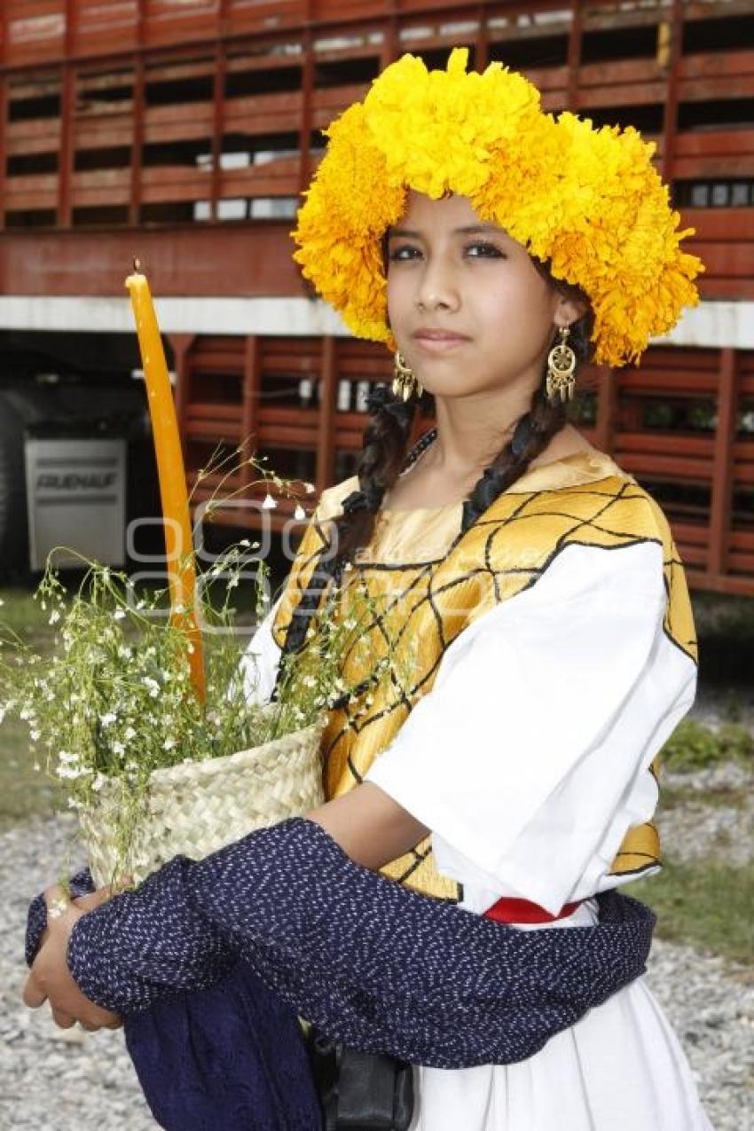 FESTIVAL DEL MOLE DE CADERAS