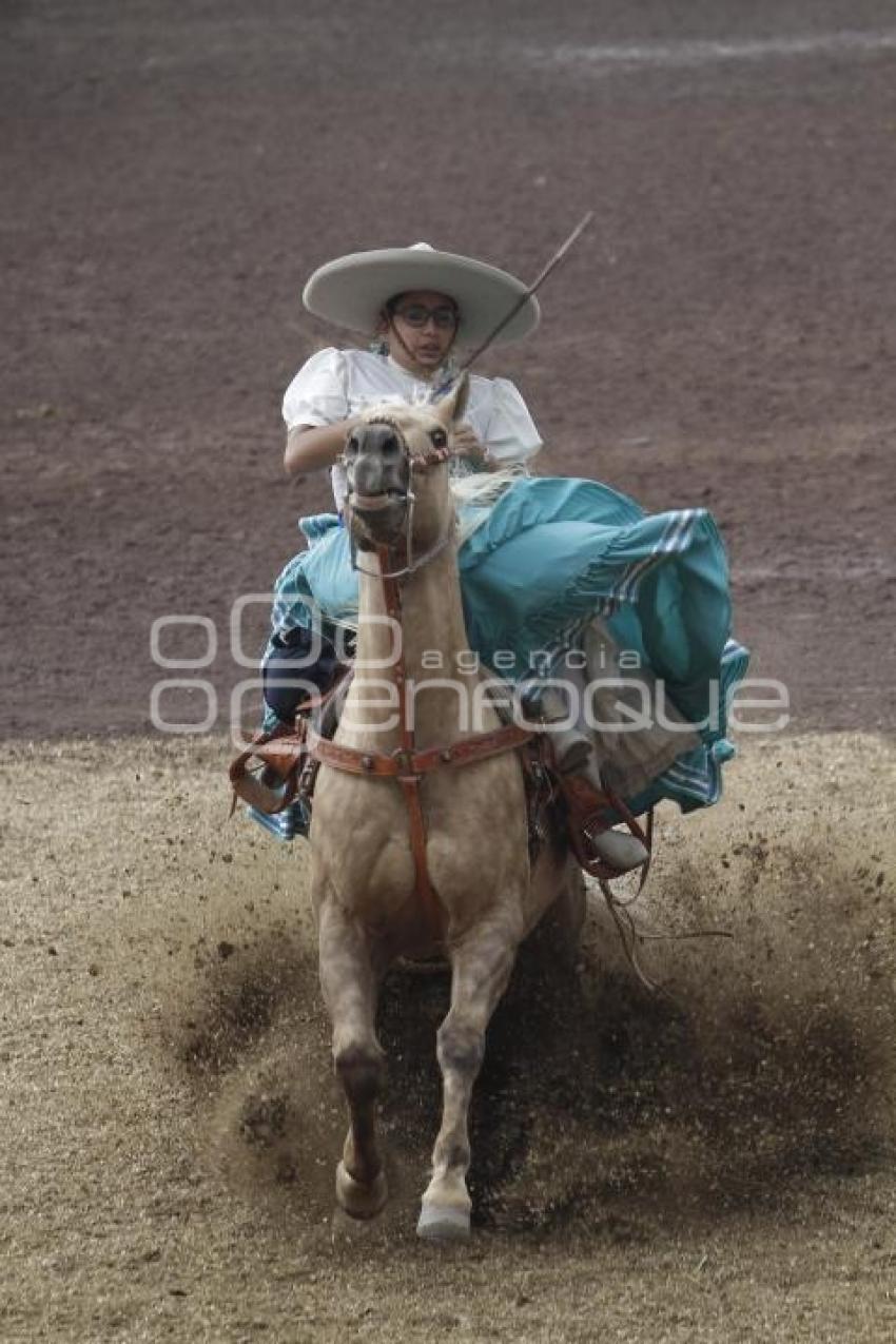 FINAL DE ESCARAMUZAS