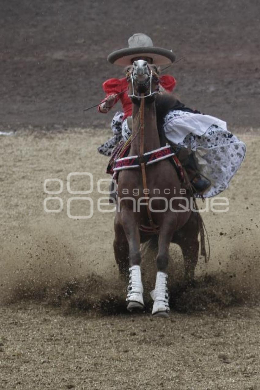 FINAL DE ESCARAMUZAS