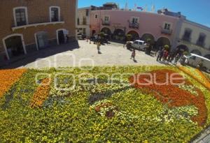 DÍA DE MUERTOS . ATLIXCO