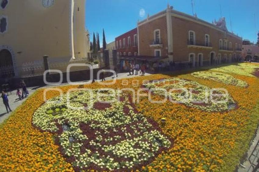 DÍA DE MUERTOS . ATLIXCO