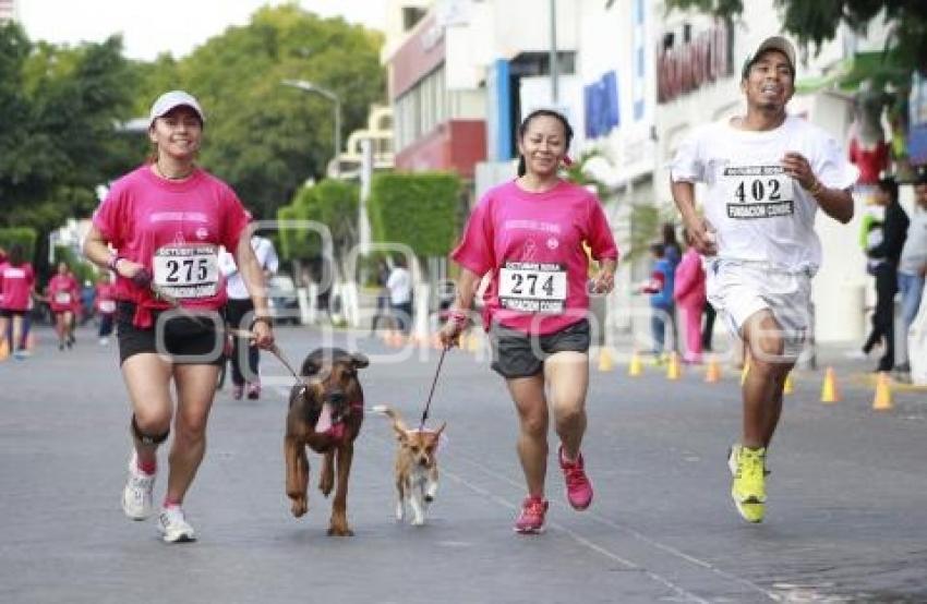 CARRERA ROSA . TEHUACÁN