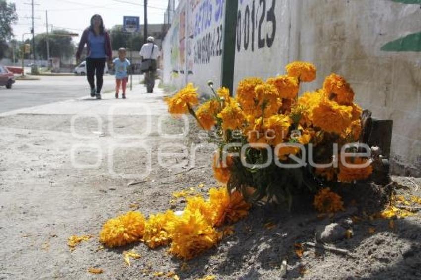 DÍA DE LOS ACCIDENTADOS