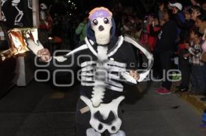 DESFILE DE CALAVERAS