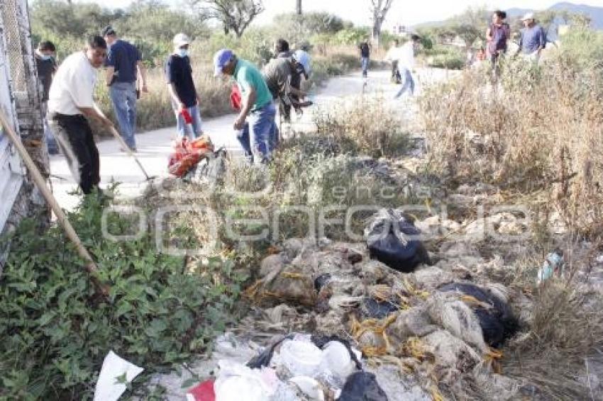 POLLOS MUERTOS . TEHUACÁN