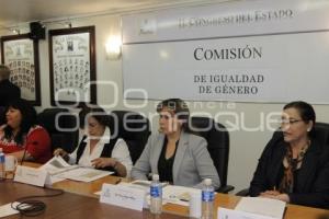 COMISIÓN IGUALDAD DE GÉNERO . CONGRESO