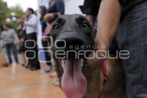 CARRERA CANINA . KARINA ROMERO