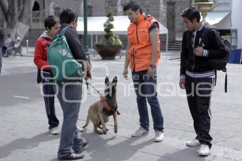 CARRERA CANINA . KARINA ROMERO